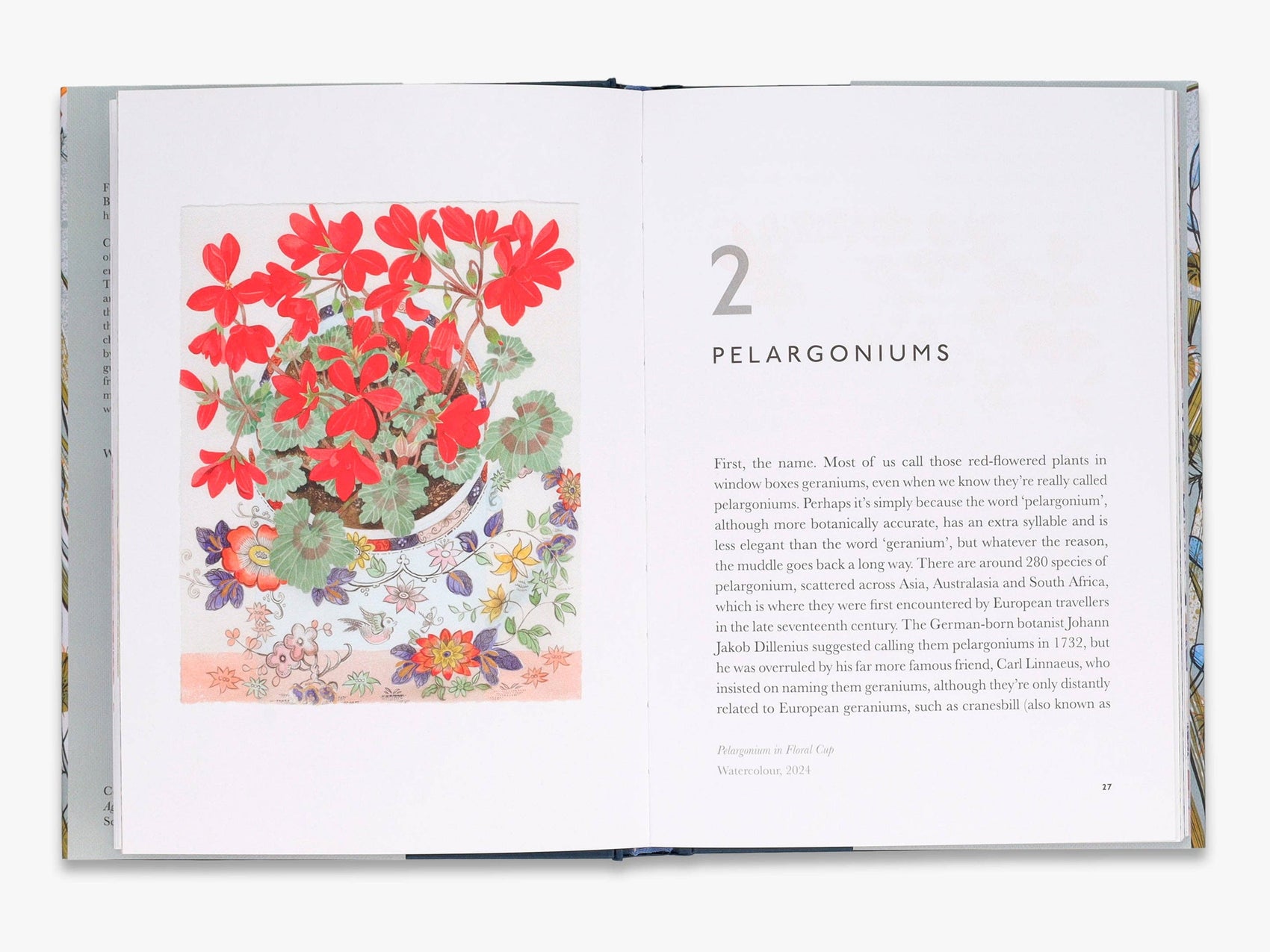 The Book of Garden Flowers
