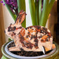 Thumper laser cut birch plywood keepsake and card 