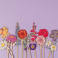 Wooden Birth Flowers - Sustainable Birthday Gift - UK Made: June - Rose
