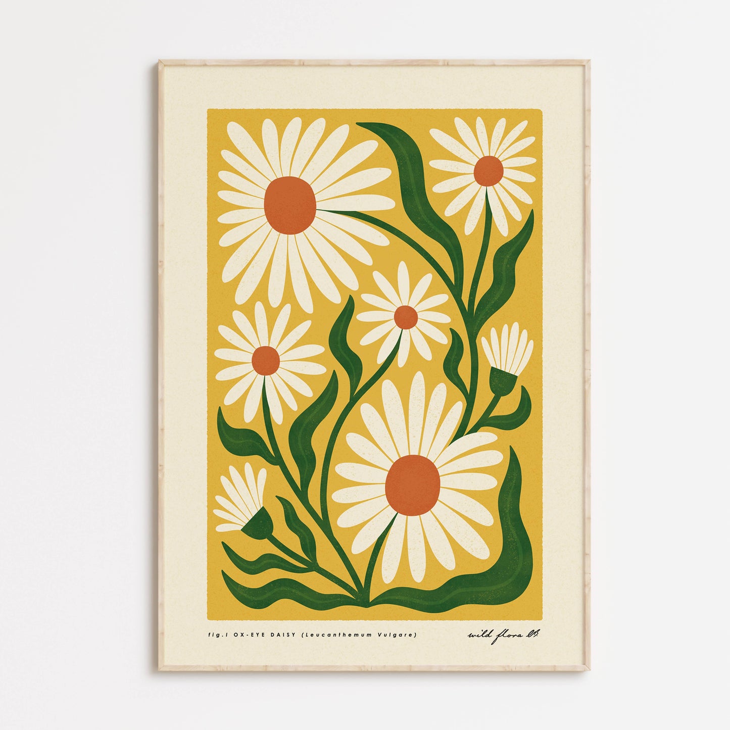 OxEye Daisy | Modern-Retro Wildflower Art Print | Wall Decor: A3 - 297 x 420mm (11.7 x 16.5 inches)