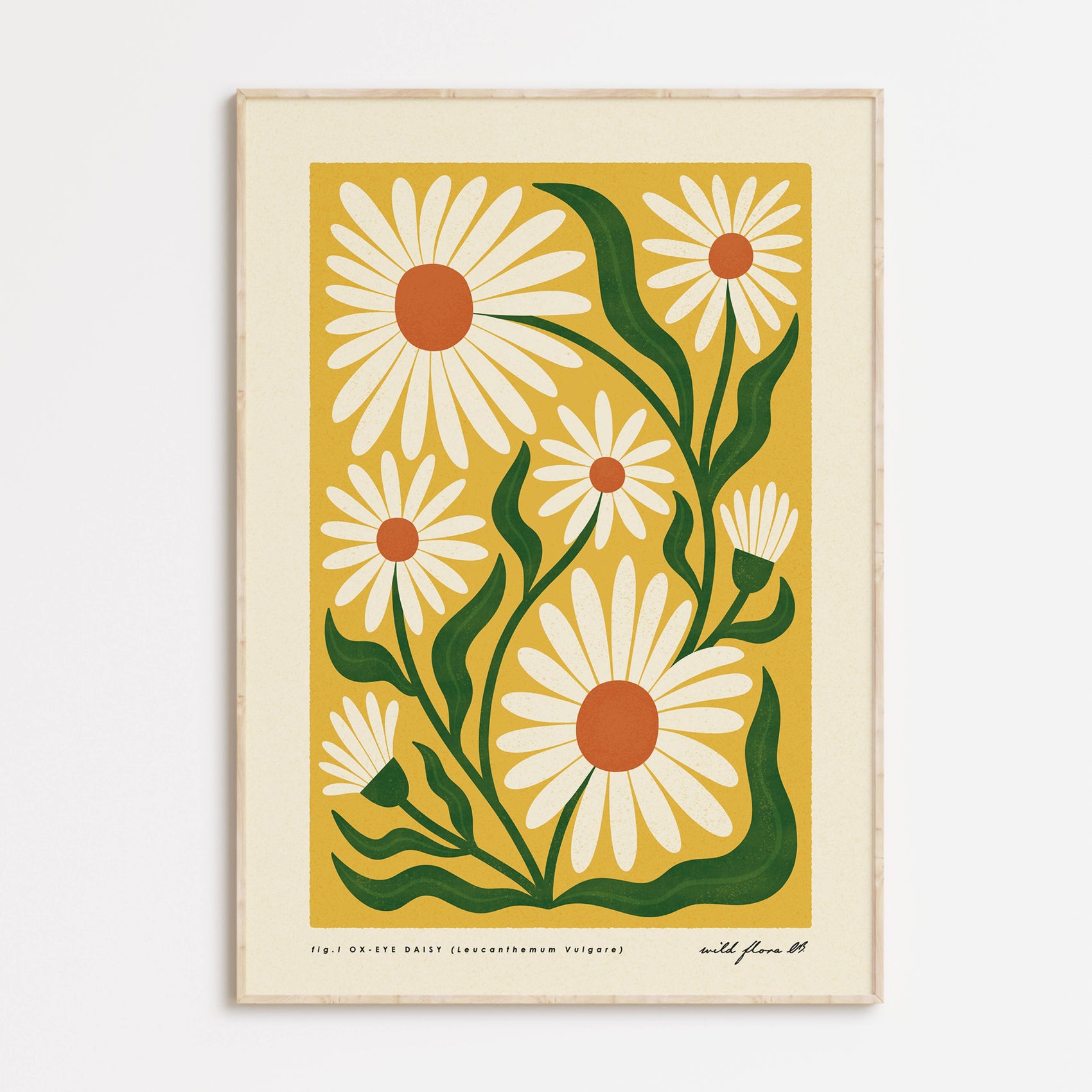 OxEye Daisy | Modern-Retro Wildflower Art Print | Wall Decor: A3 - 297 x 420mm (11.7 x 16.5 inches)