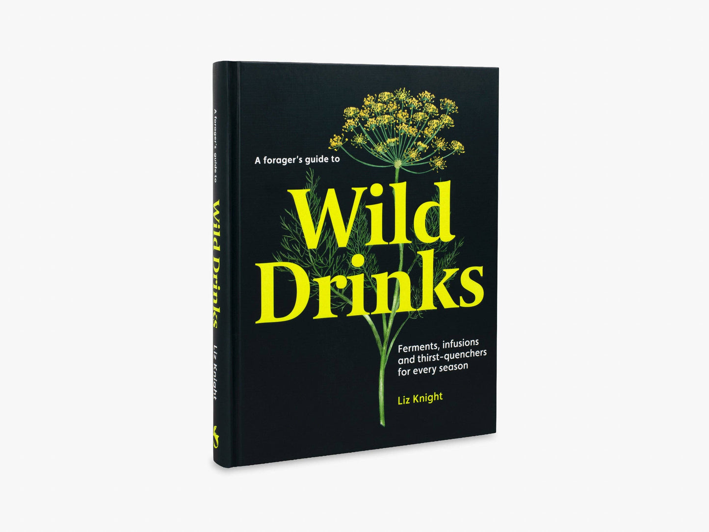 A Forager's Guide to Wild Drinks