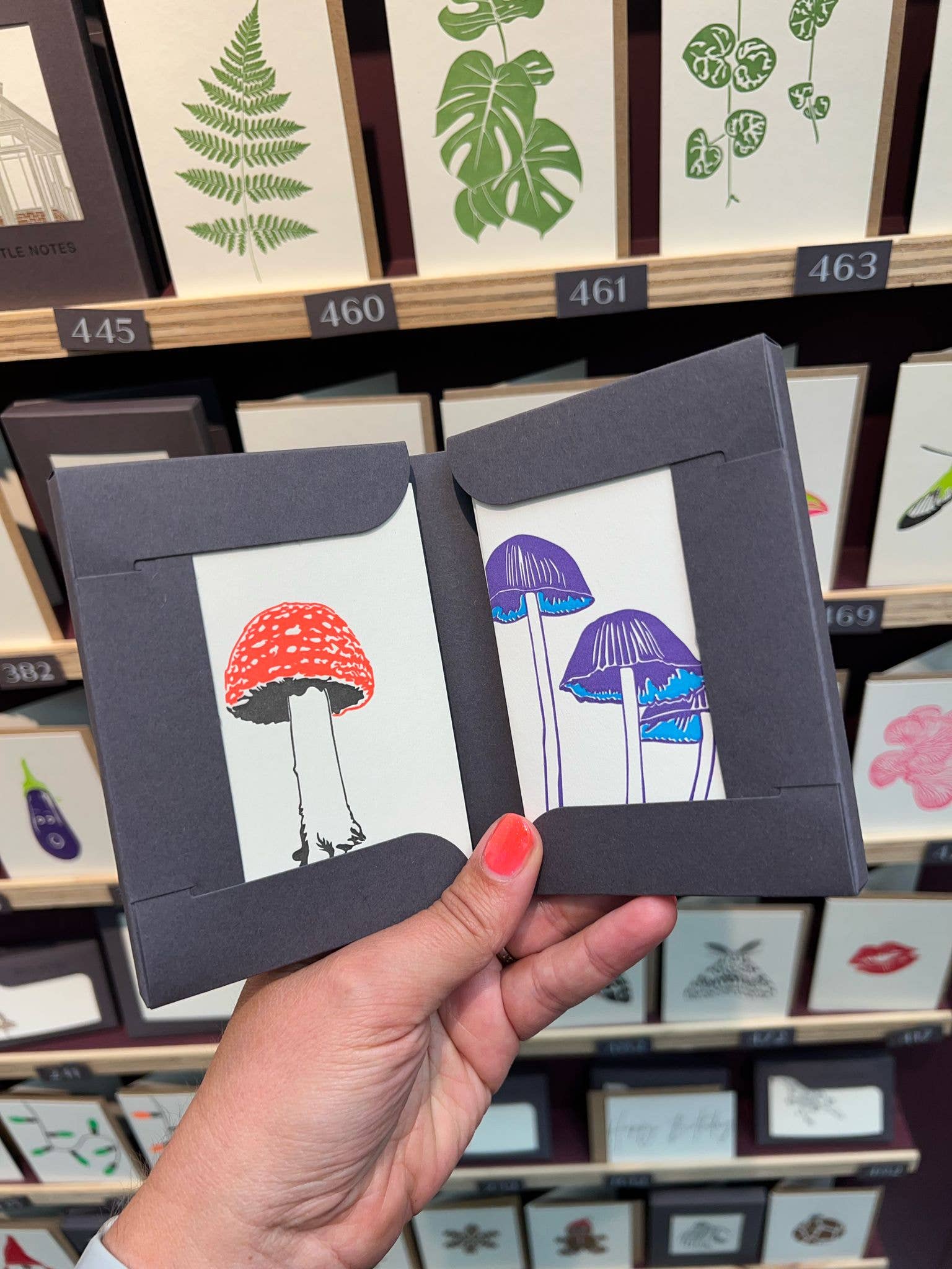 Neon Fungi Notecard Set | Set of 8