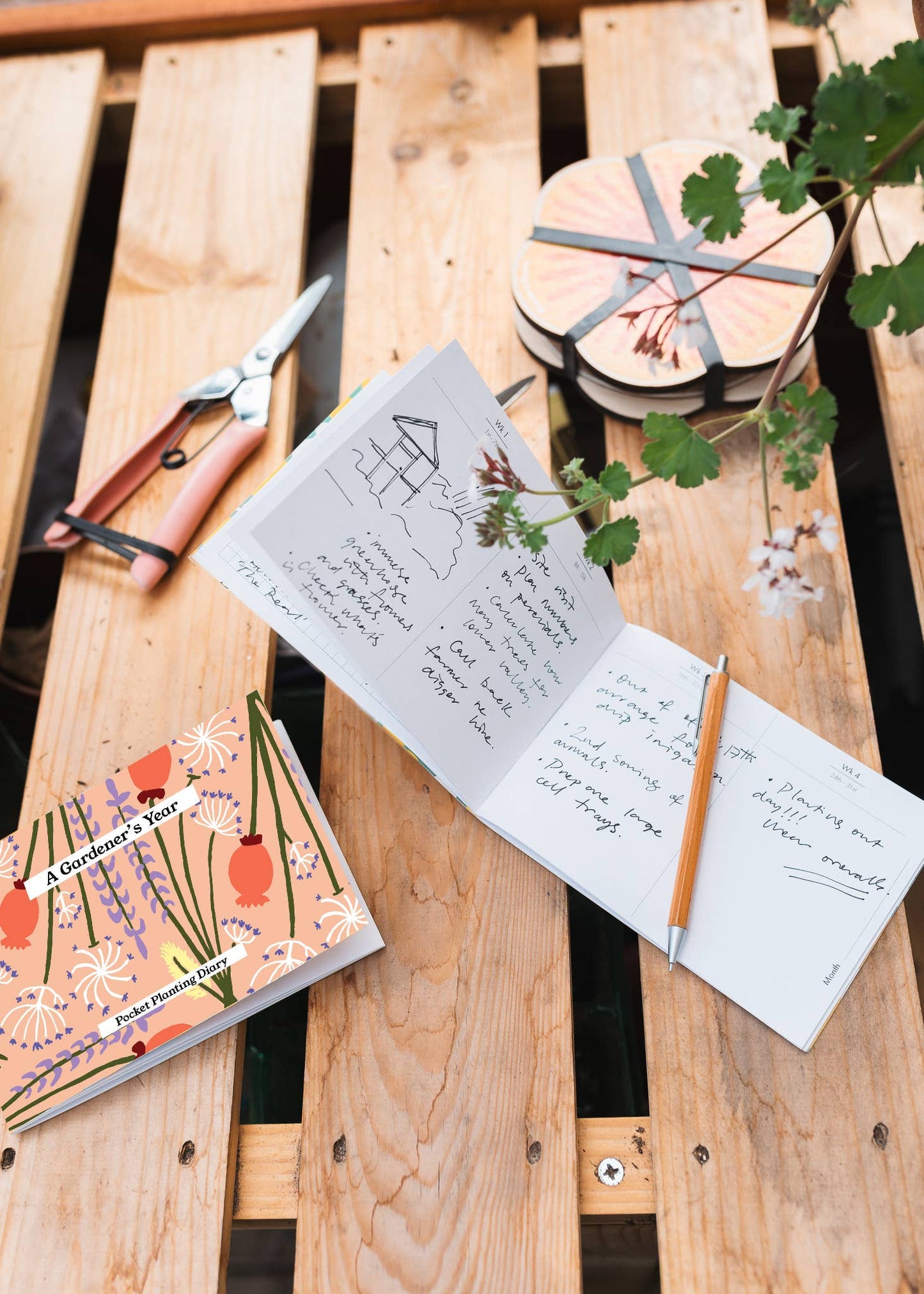 Gardener's Diary - 'Dried' - Peach