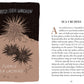 Pocket Nature Series: Beachcombing - Cultivate Mindful Moments by the Sea (Hardback)
