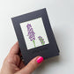 Flower Stems Notecard Set | Set of 8