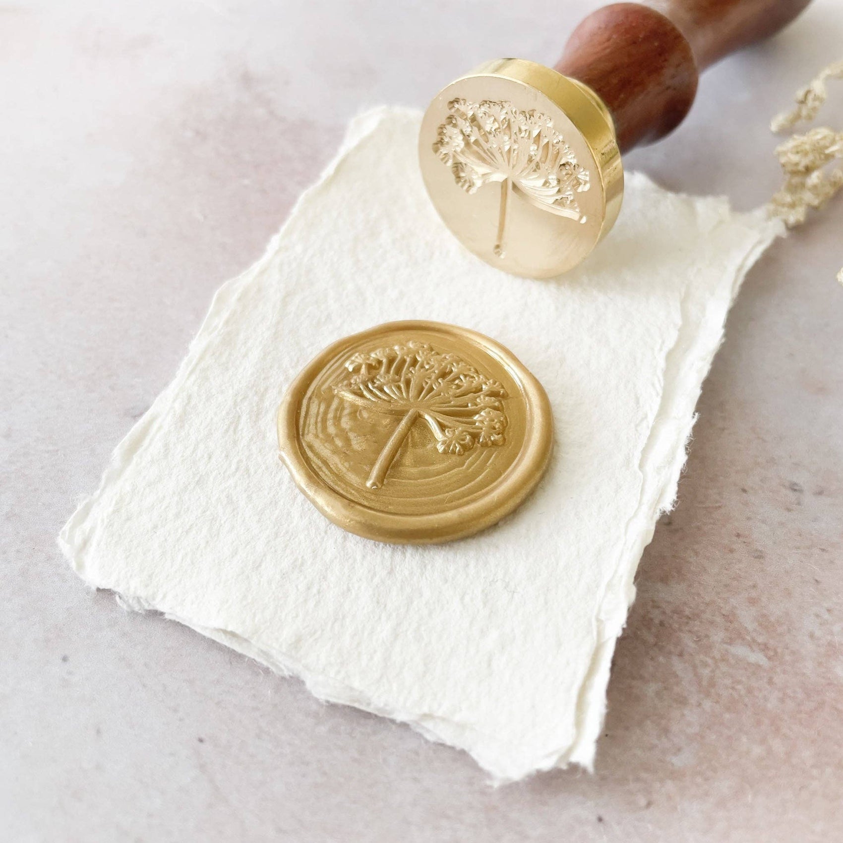 Wild Fennel Wax Stamp | Flower Wax Seal | Boxed