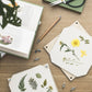 Flower Press - Daisy