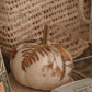 Pumpkin Decoupage