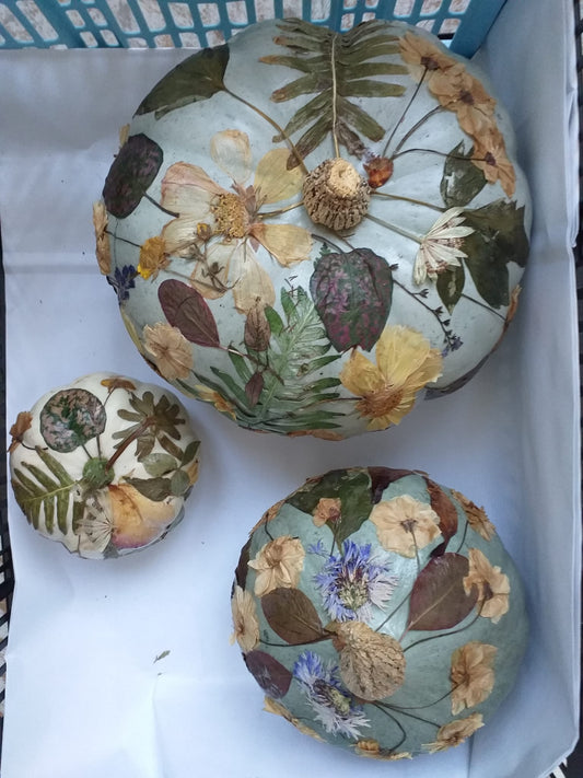 Pumpkin Decoupage