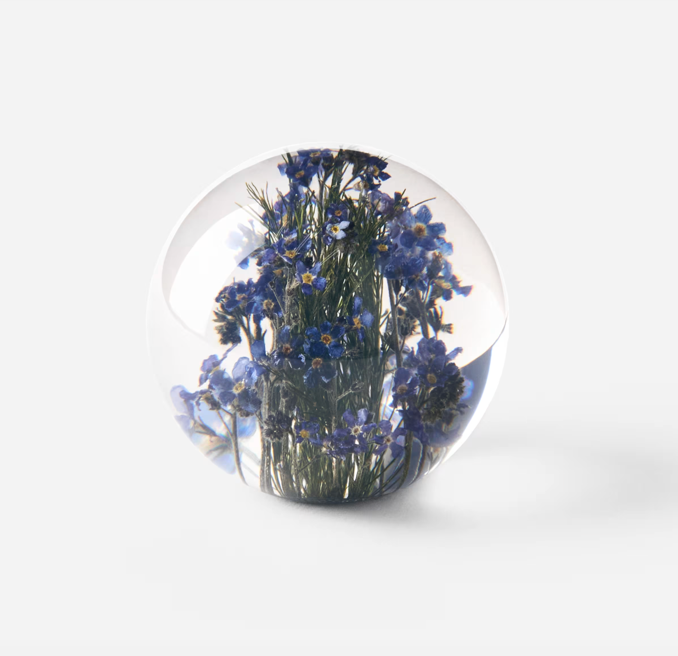 Paperweight Forget Me Knot