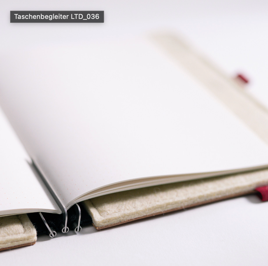 Taschenbegleiter LTD_036