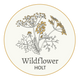 Wildflower Holt