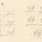 Sweet Spaces