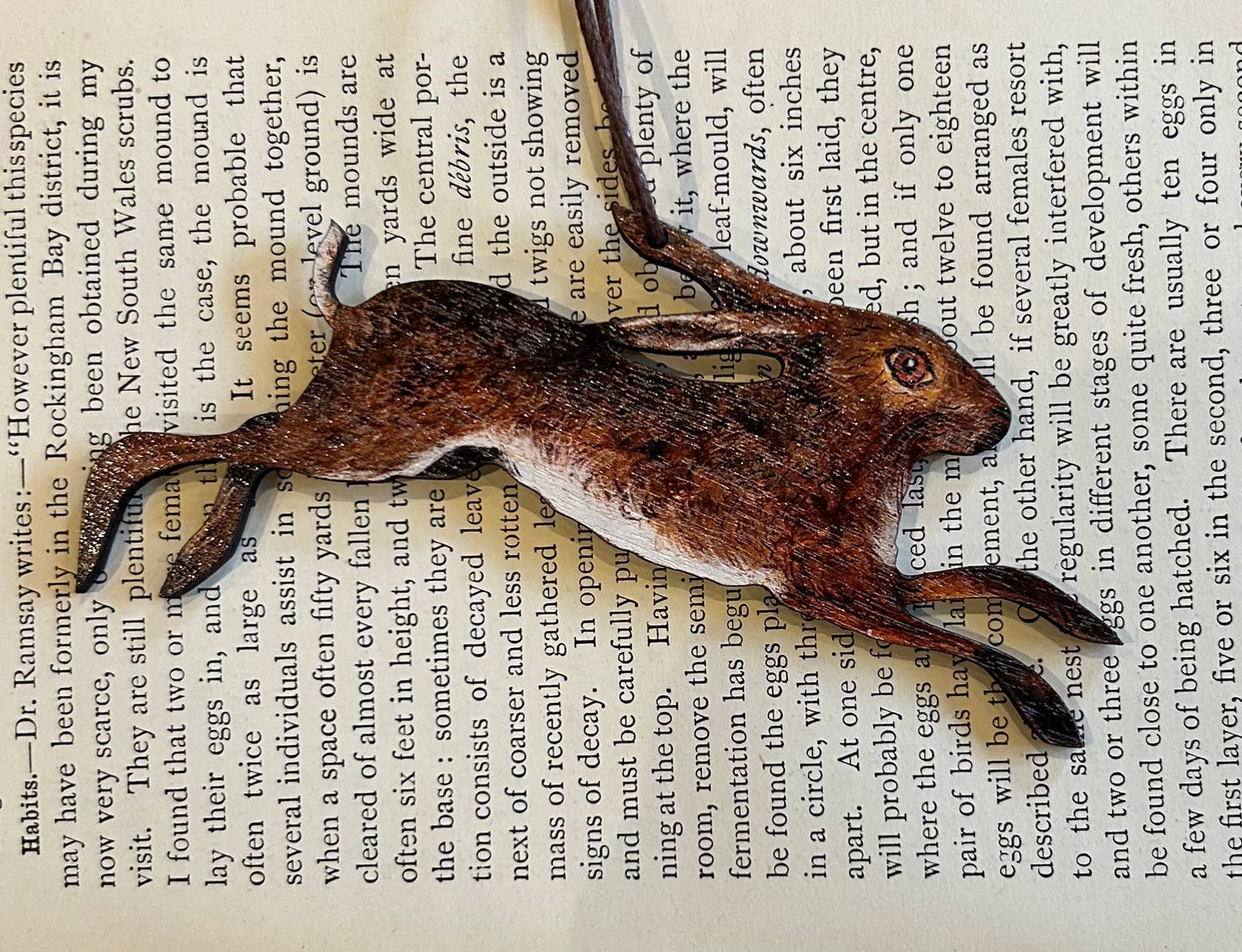  Spring Hare birch plywood decoration
