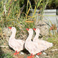Goosey Gander laser cut birch plywood keepsake and card