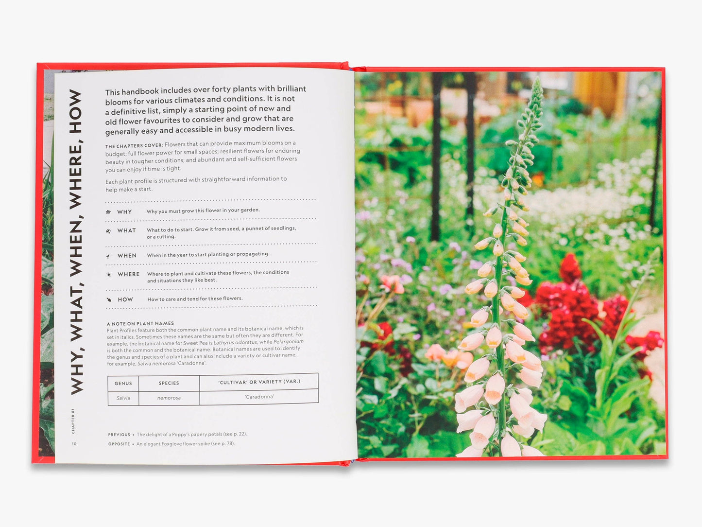 The Super Bloom Handbook