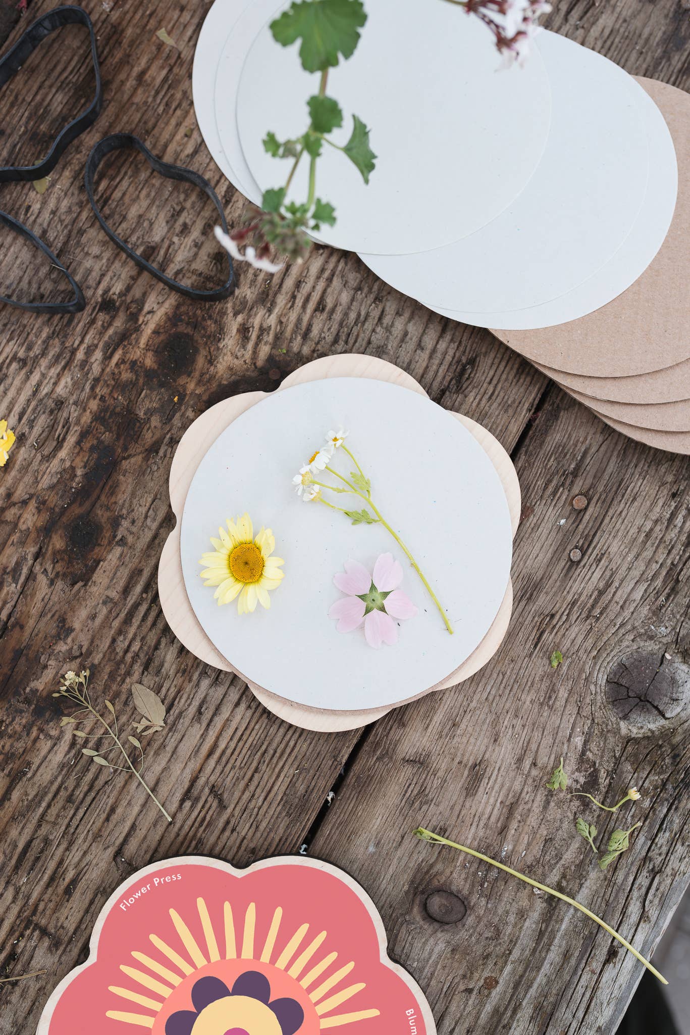 Flower Shaped Press - Pinks