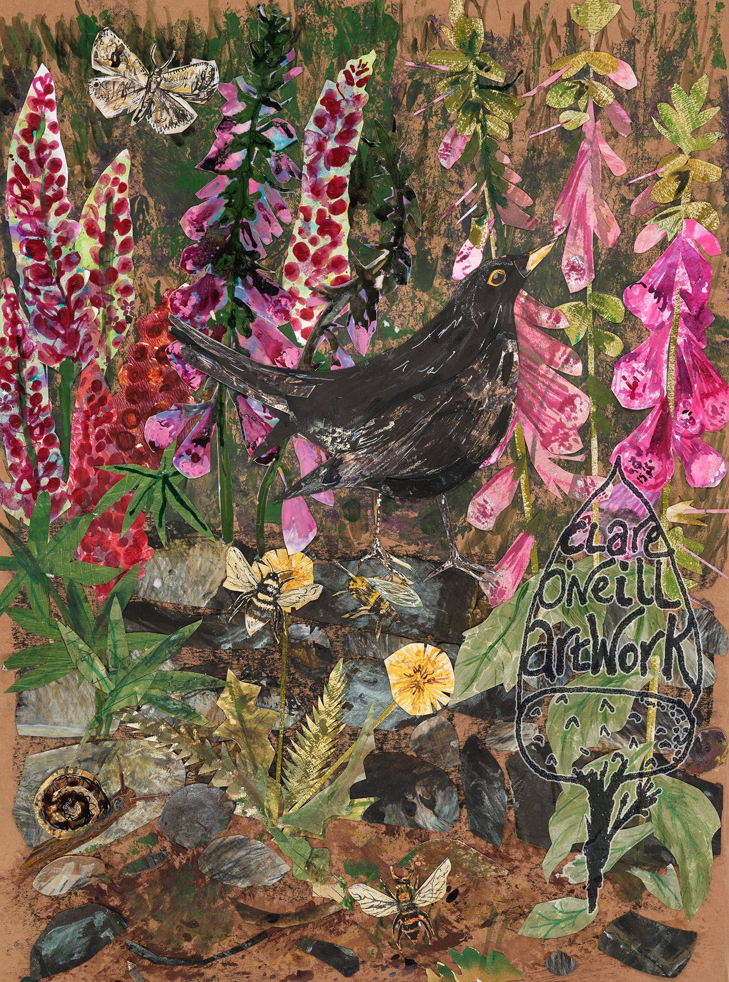 A3 Blackbird in the foxgloves  art print