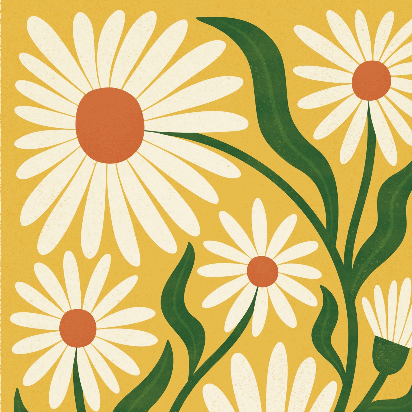 OxEye Daisy | Modern-Retro Wildflower Art Print | Wall Decor: A3 - 297 x 420mm (11.7 x 16.5 inches)