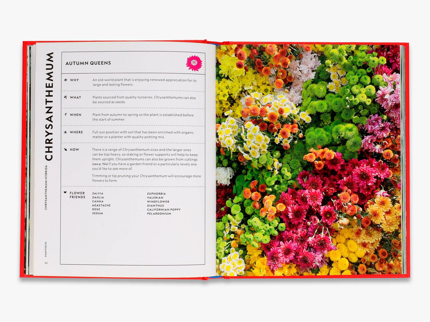 The Super Bloom Handbook