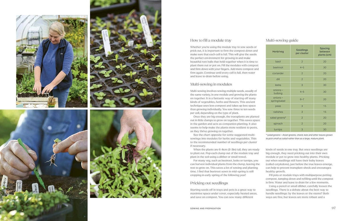 The Productive Garden