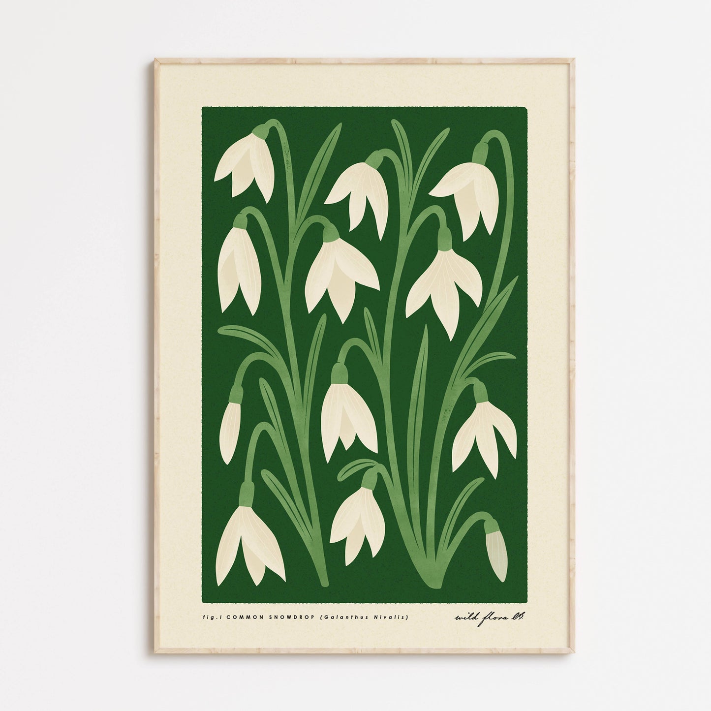 Snowdrop | Modern-Retro Wildflower Art Print Wall Decor: A4 - 210 x 297 mm (8.3 x 11.7 inches)