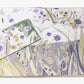The Book of Wild Flowers