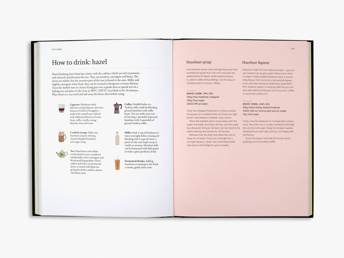 A Forager's Guide to Wild Drinks