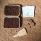 Children’s Seed Kit | Grow | Attract | Garden