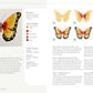 Beautiful Butterflies and Flowers