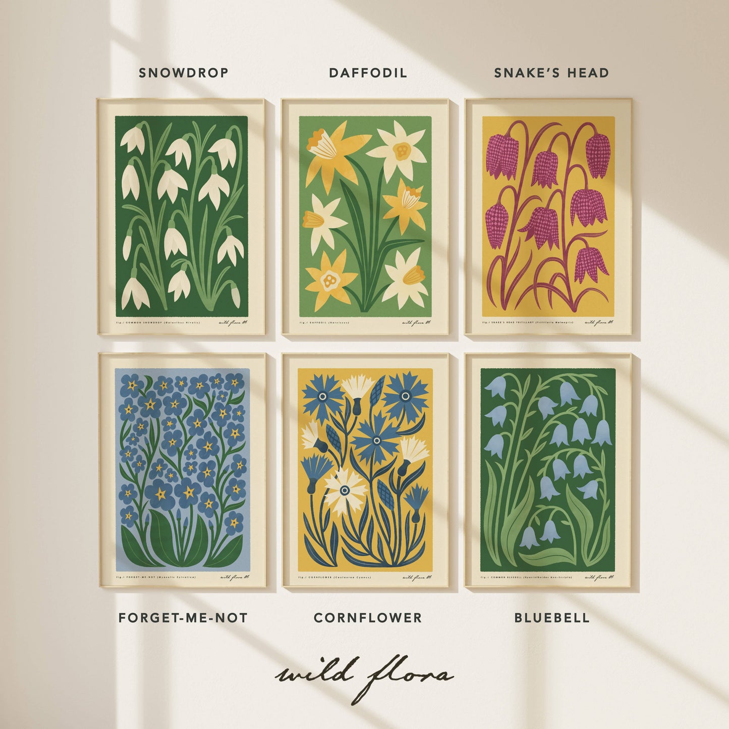Snowdrop | Modern-Retro Wildflower Art Print Wall Decor: A4 - 210 x 297 mm (8.3 x 11.7 inches)