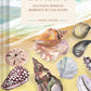 Pocket Nature Series: Beachcombing - Cultivate Mindful Moments by the Sea (Hardback)