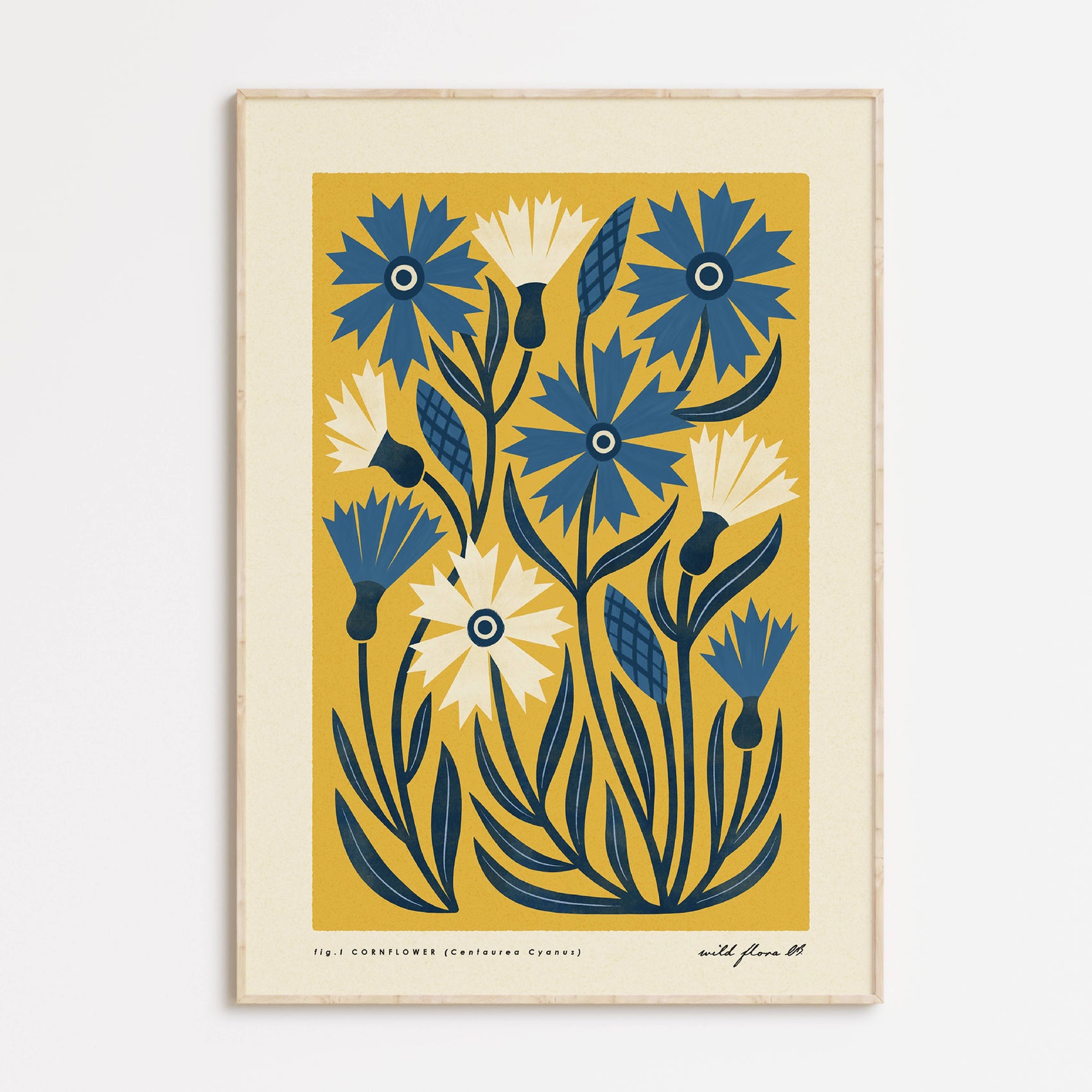 Cornflower | Modern-Retro Wildflower Art Print Wall Decor: A3