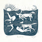 Paddlers card, dogs, dog swimming, sea swim, women & dogs