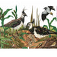 Lapwing Nest laser cut birch plywood keepsake and card