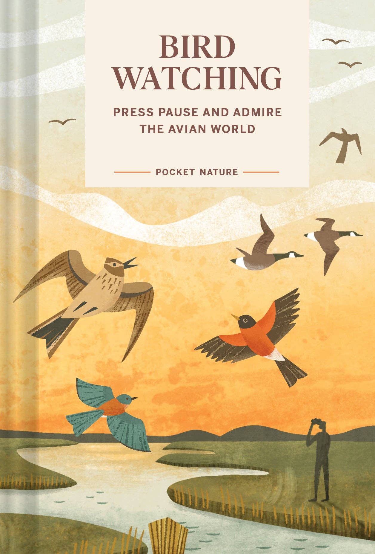 Pocket Nature: Bird-Watching - Press Pause and Admire the Avian World (Hardback)