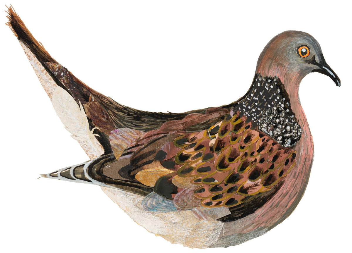 Turtle the dove birch plywood decoration