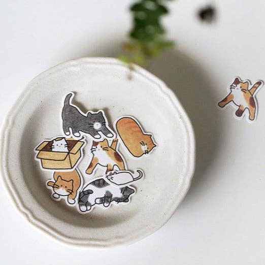 Suatelier | Cat!