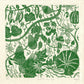 Pick of the Crop card  gardening, vegetables, growing