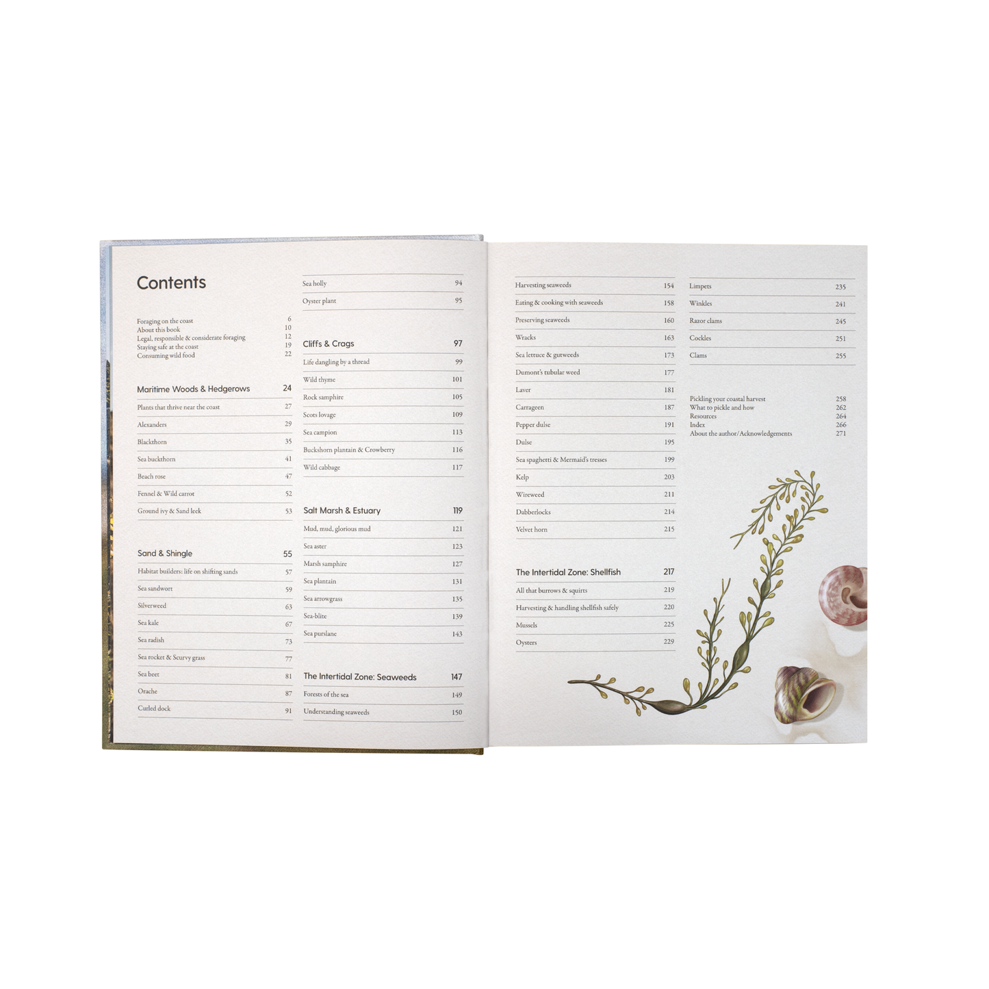 The Coastal Forager