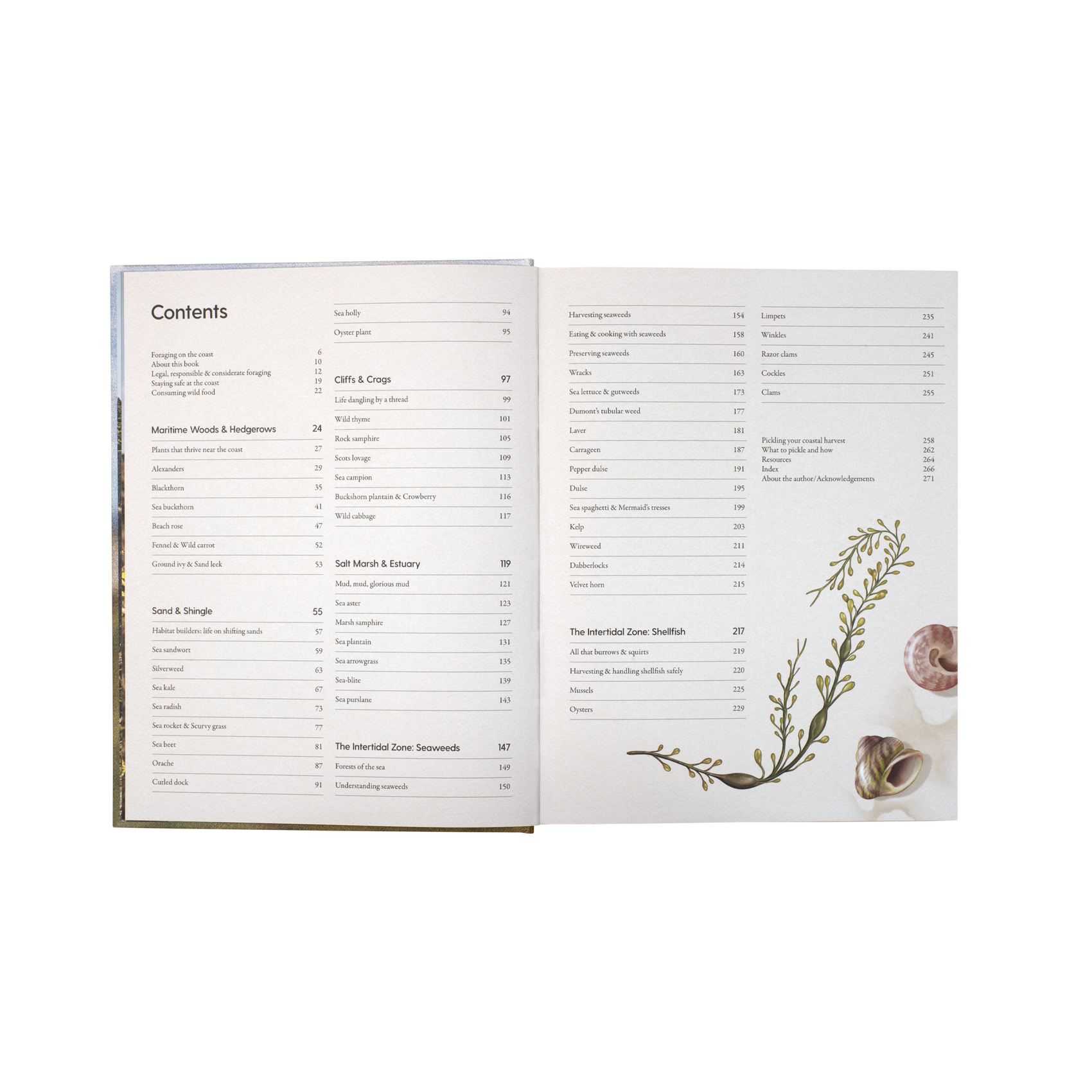 The Coastal Forager