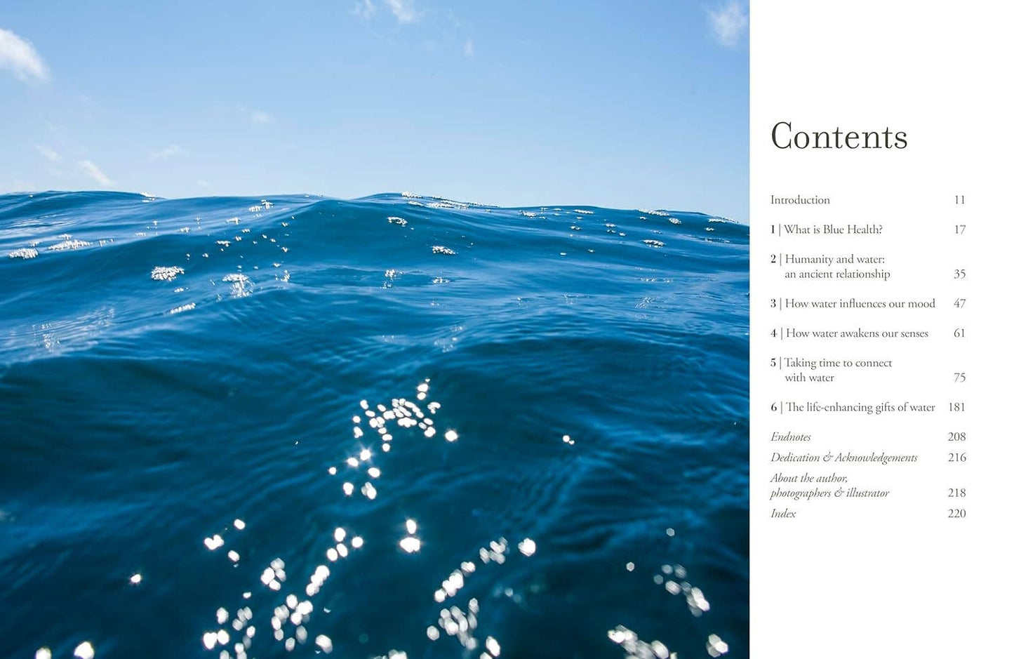 The Healing Power of Water