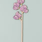 Wooden Sweet Pea Gift – April Birth Flower - Sustainable
